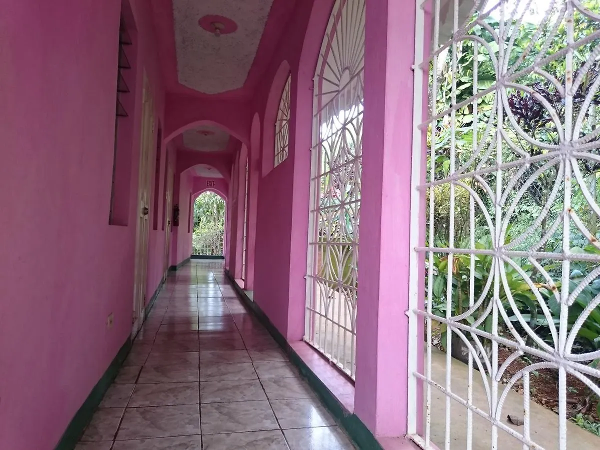 Nine Miles Cultural Hangouts And Tours Stepney Jamaica